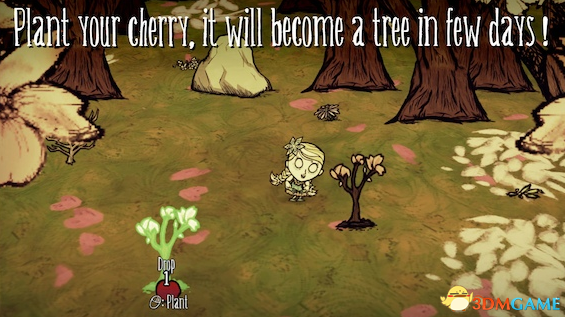 饥荒:联机版 樱花树种植MOD