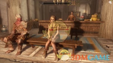 《上古卷轴5：天际》女性空闲坐姿动画MOD