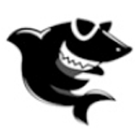 黑鲨装机大师概念版