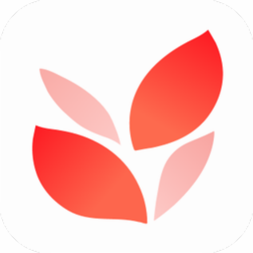 小满壁纸免费版