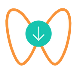 WeChat Video Downloader2.0.2