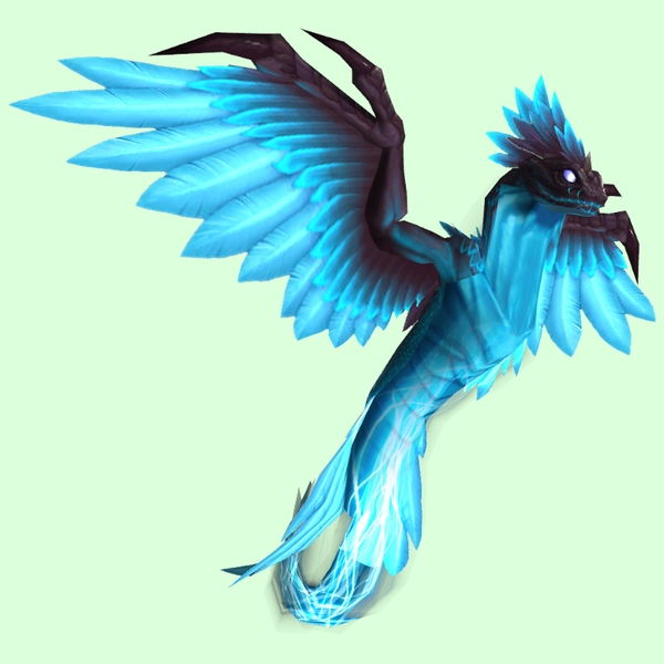 《魔兽世界》9.0猎人宝宝大全